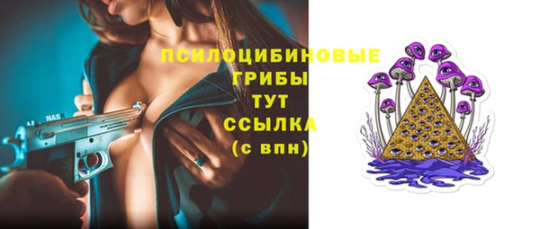 прущая мука Гатчина
