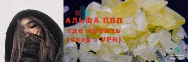 гашик Арсеньев