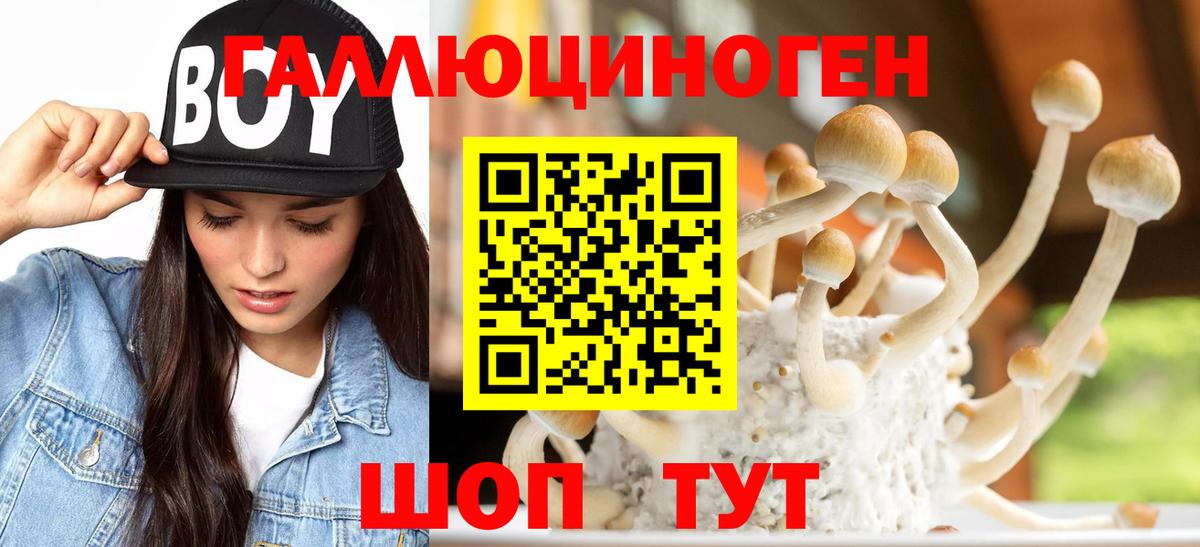 Псилоцибиновые грибы GOLDEN TEACHER  что такое   Аша  Вход с VPN 